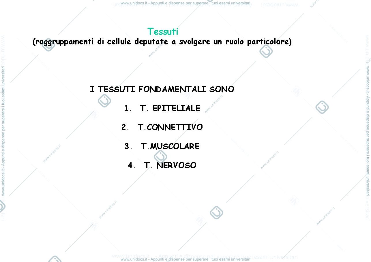 Anteprima pagina 2 — epiteli di rivestimento