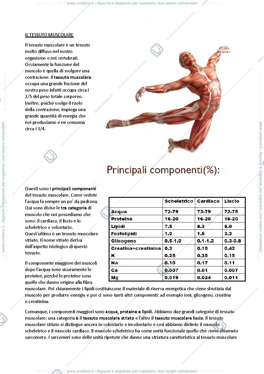 Anteprima pagina 1 — Istologia