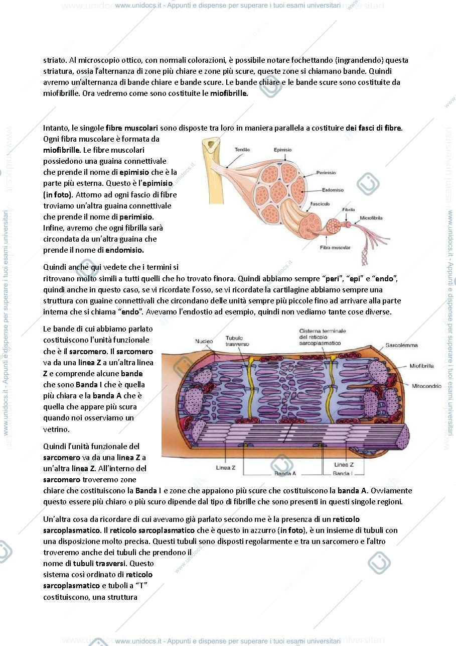 Anteprima pagina 2 — Istologia