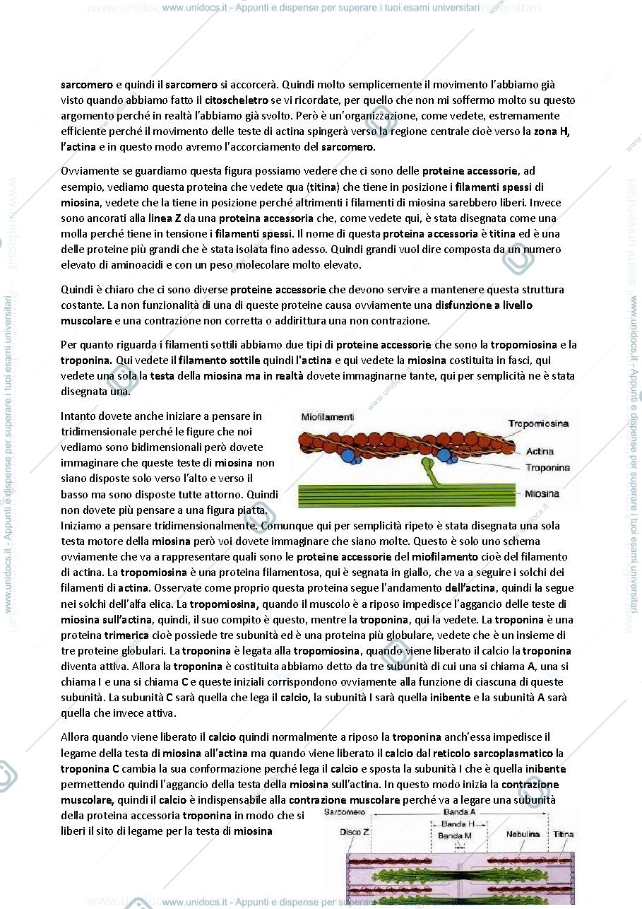 Anteprima pagina 4 — Istologia