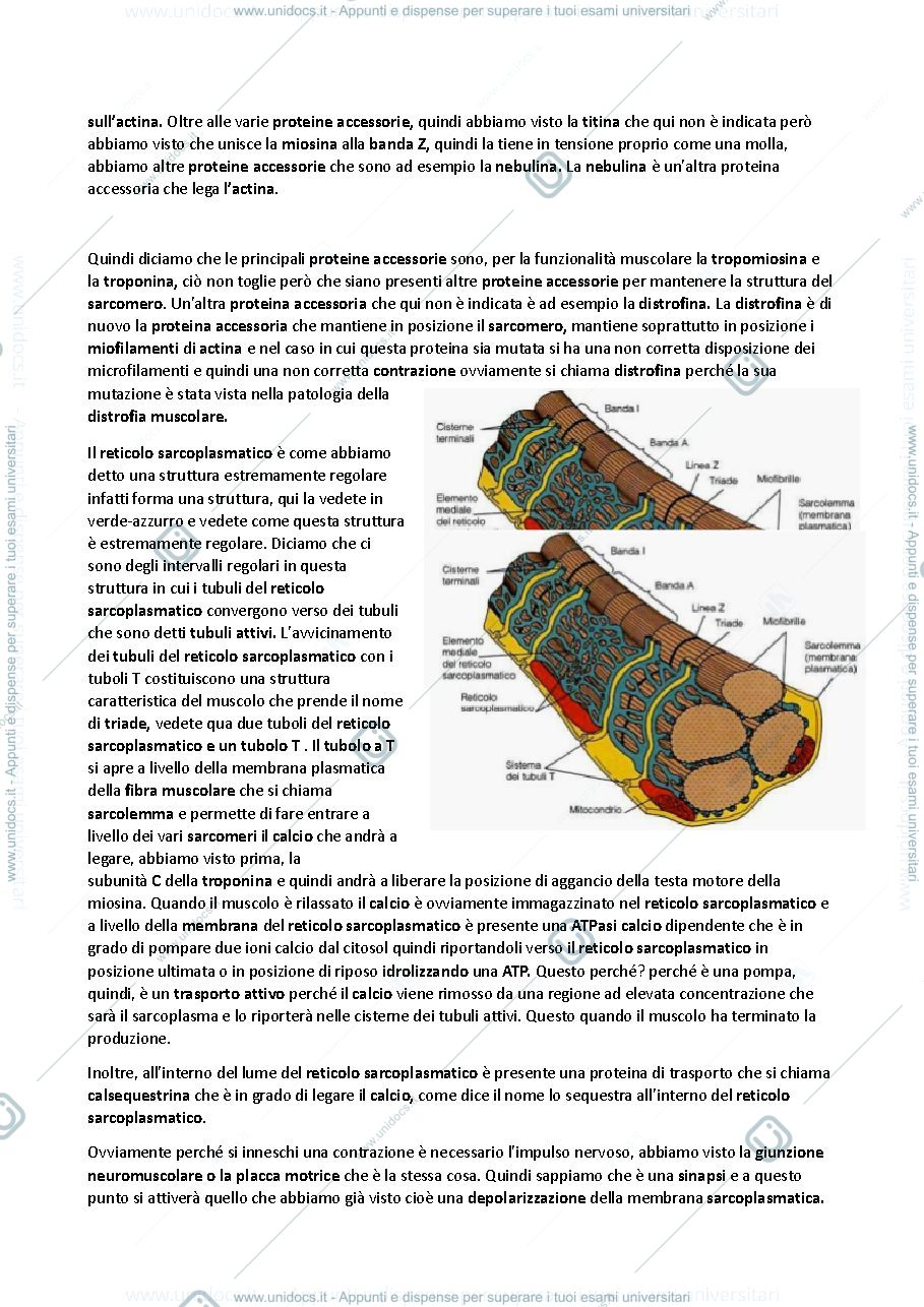 Anteprima pagina 5 — Istologia