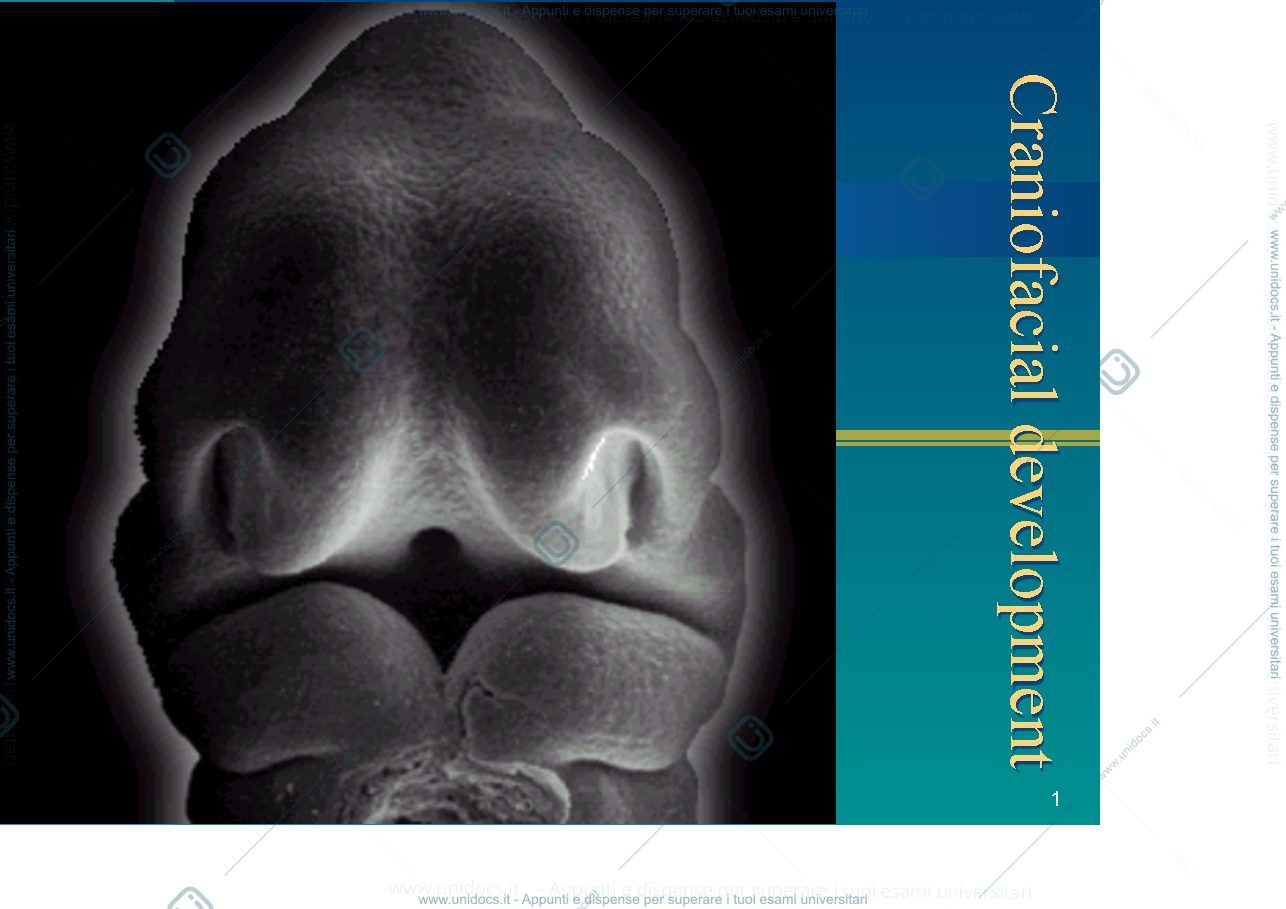Anteprima pagina 1 — Craniofacial development