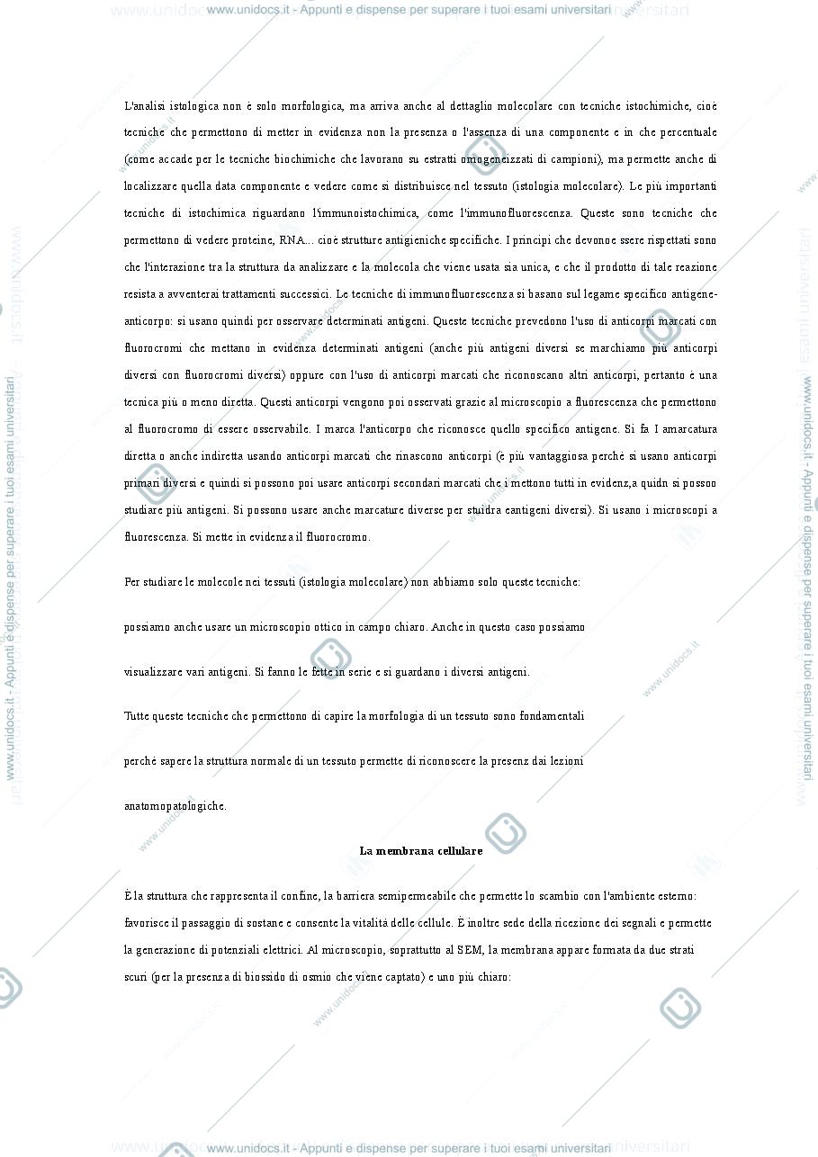 Anteprima pagina 3 — Sbobine istologia
