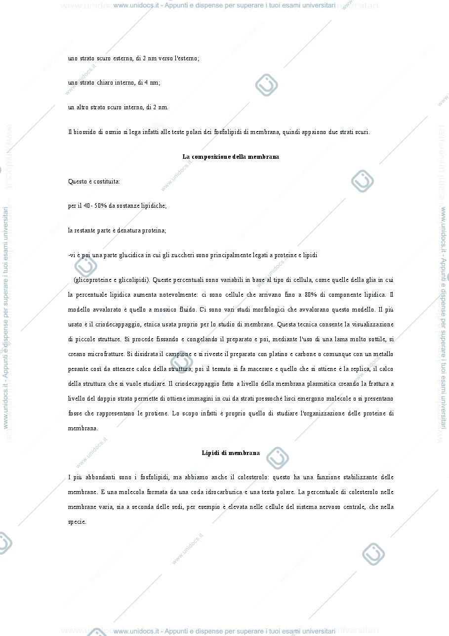Anteprima pagina 4 — Sbobine istologia