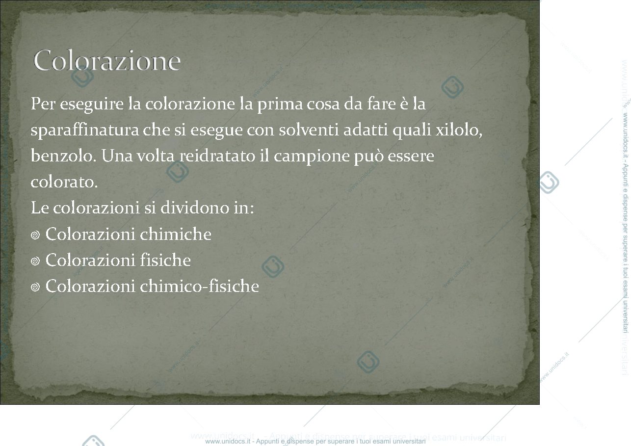 Anteprima pagina 2 — Colorazione 1