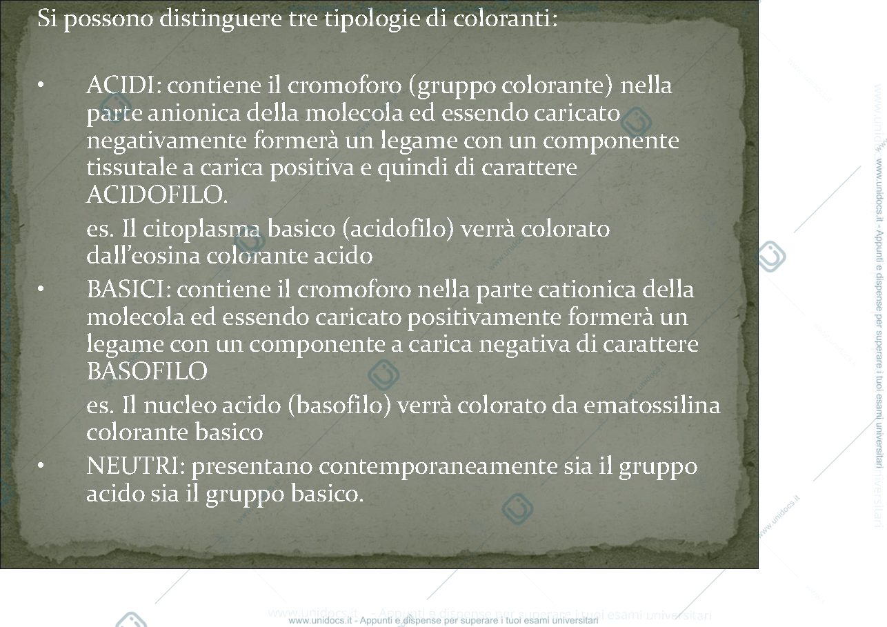 Anteprima pagina 4 — Colorazione 1