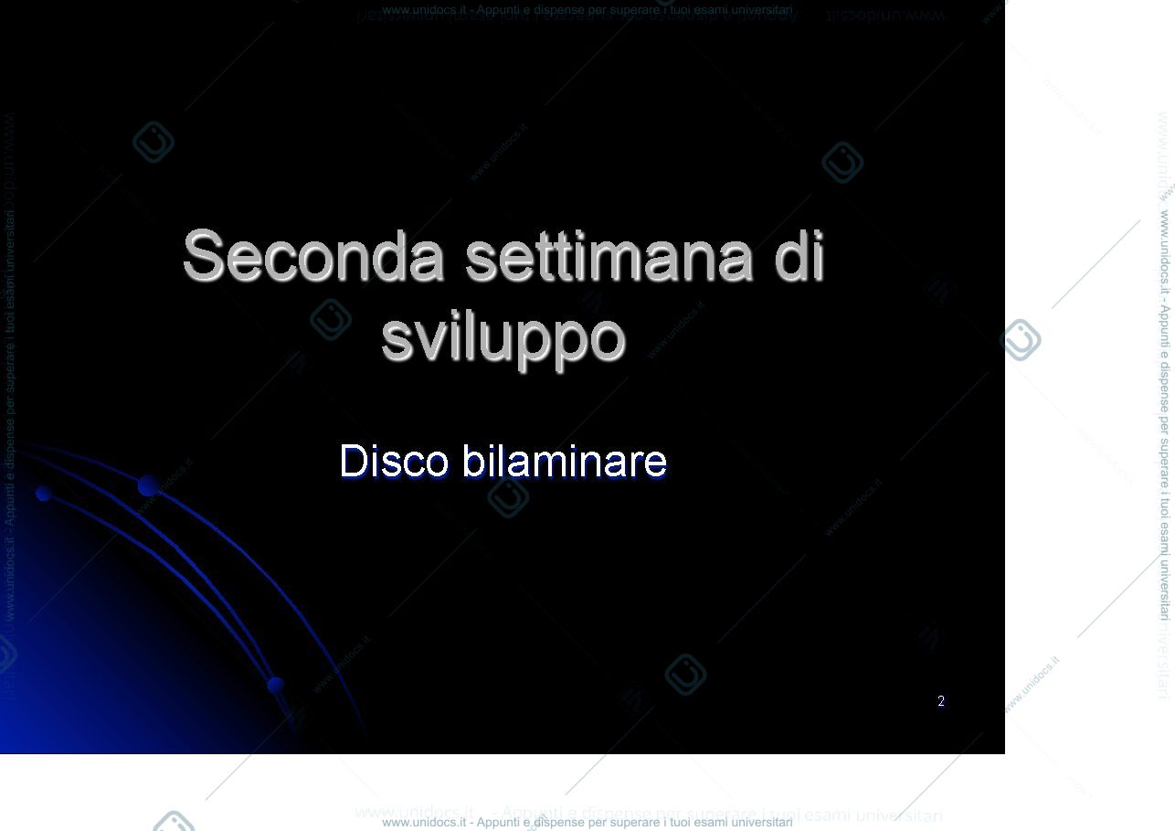 Anteprima pagina 2 — seconda settimana