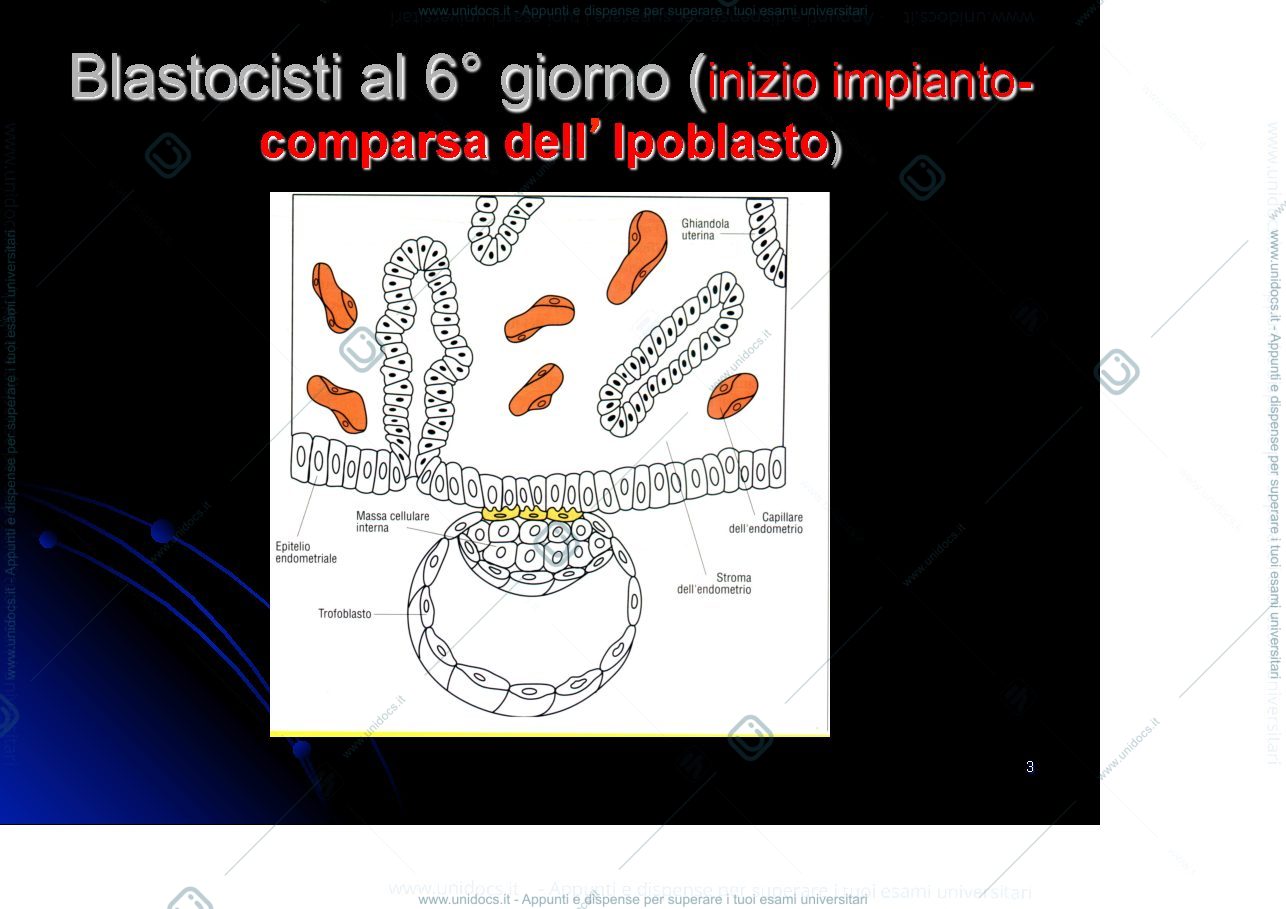 Anteprima pagina 3 — seconda settimana