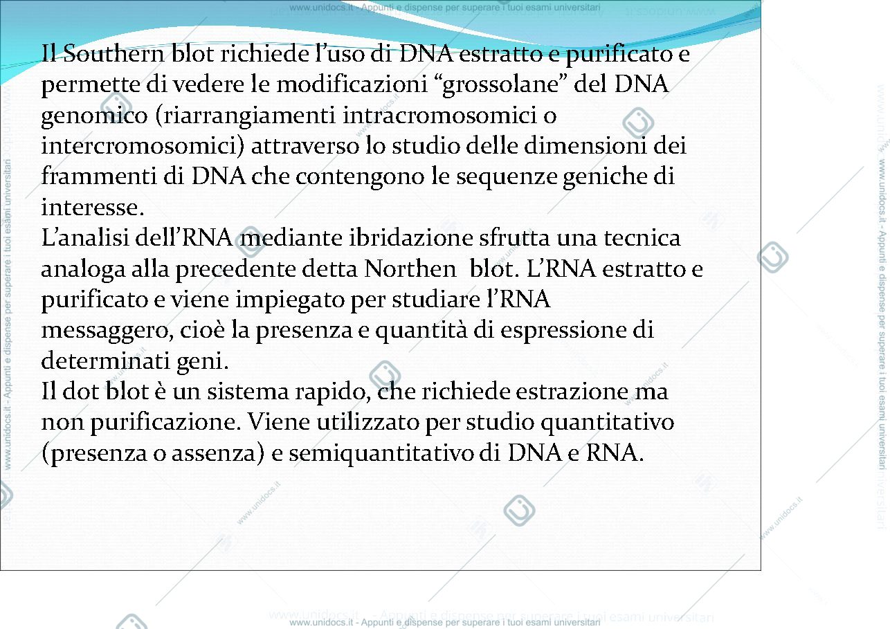 Anteprima pagina 3 — FISH