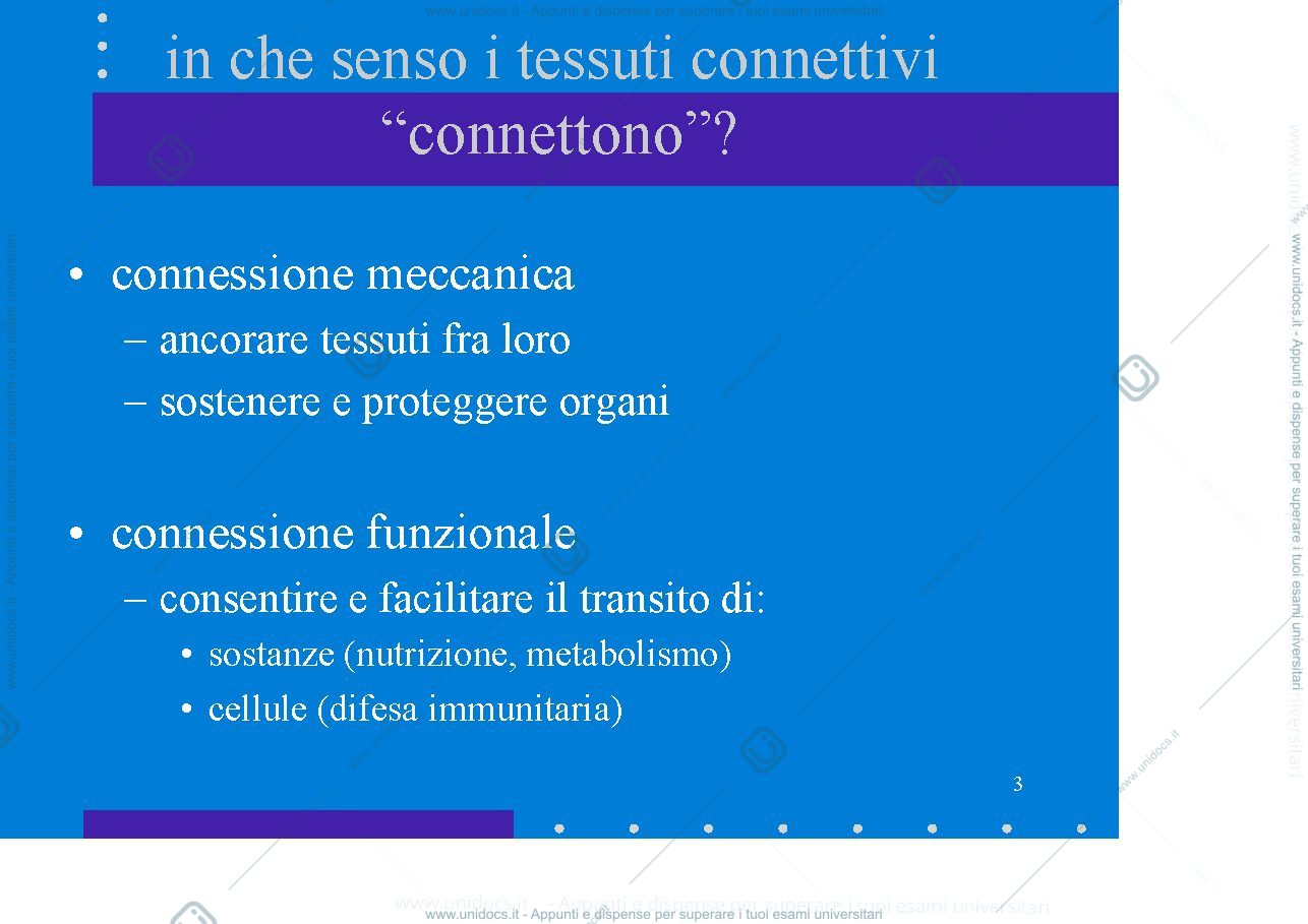 Anteprima pagina 3 — Tessuto connettivo pr. detto