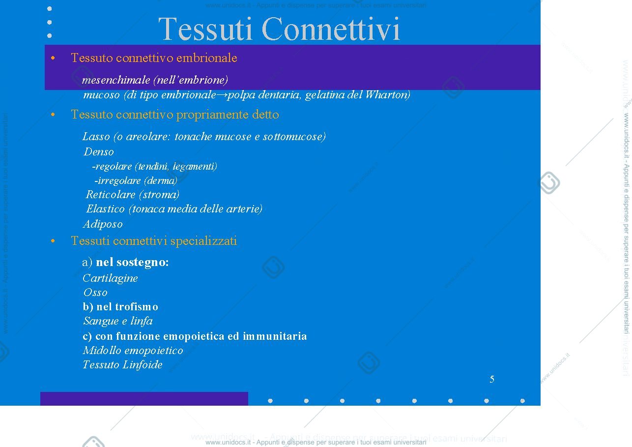 Anteprima pagina 5 — Tessuto connettivo pr. detto