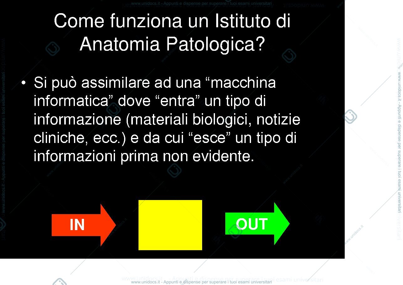 Anteprima pagina 2 — il laboratorio di anatomia patologica