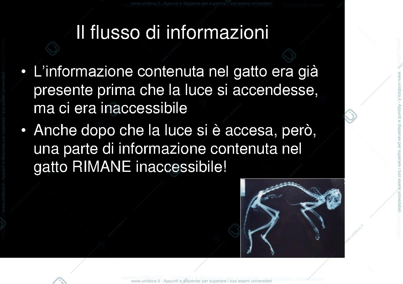 Anteprima pagina 4 — il laboratorio di anatomia patologica
