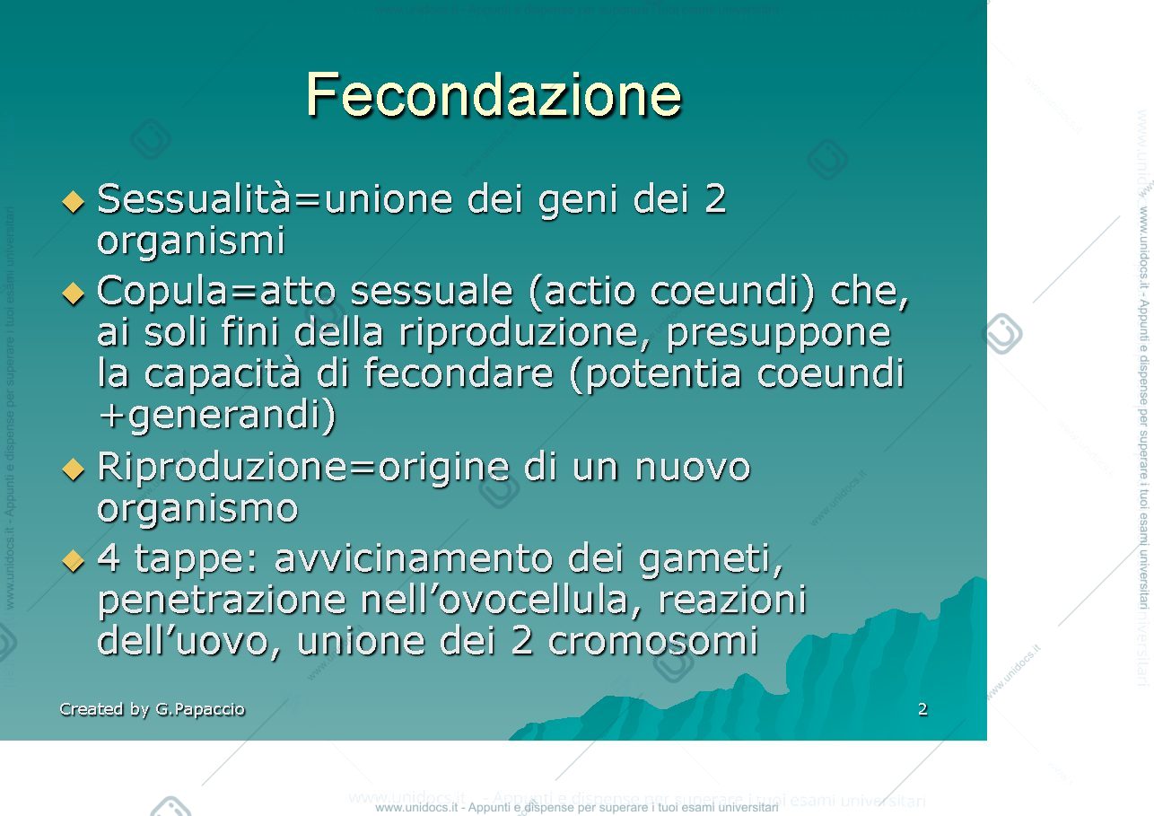 Anteprima pagina 2 — Fecondazione e prima settimana
