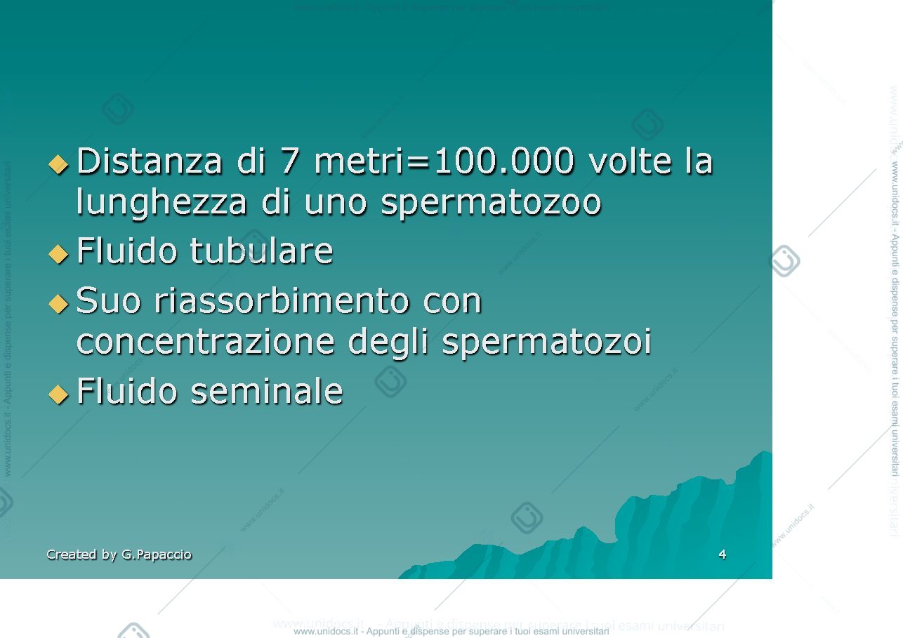 Anteprima pagina 4 — Fecondazione e prima settimana