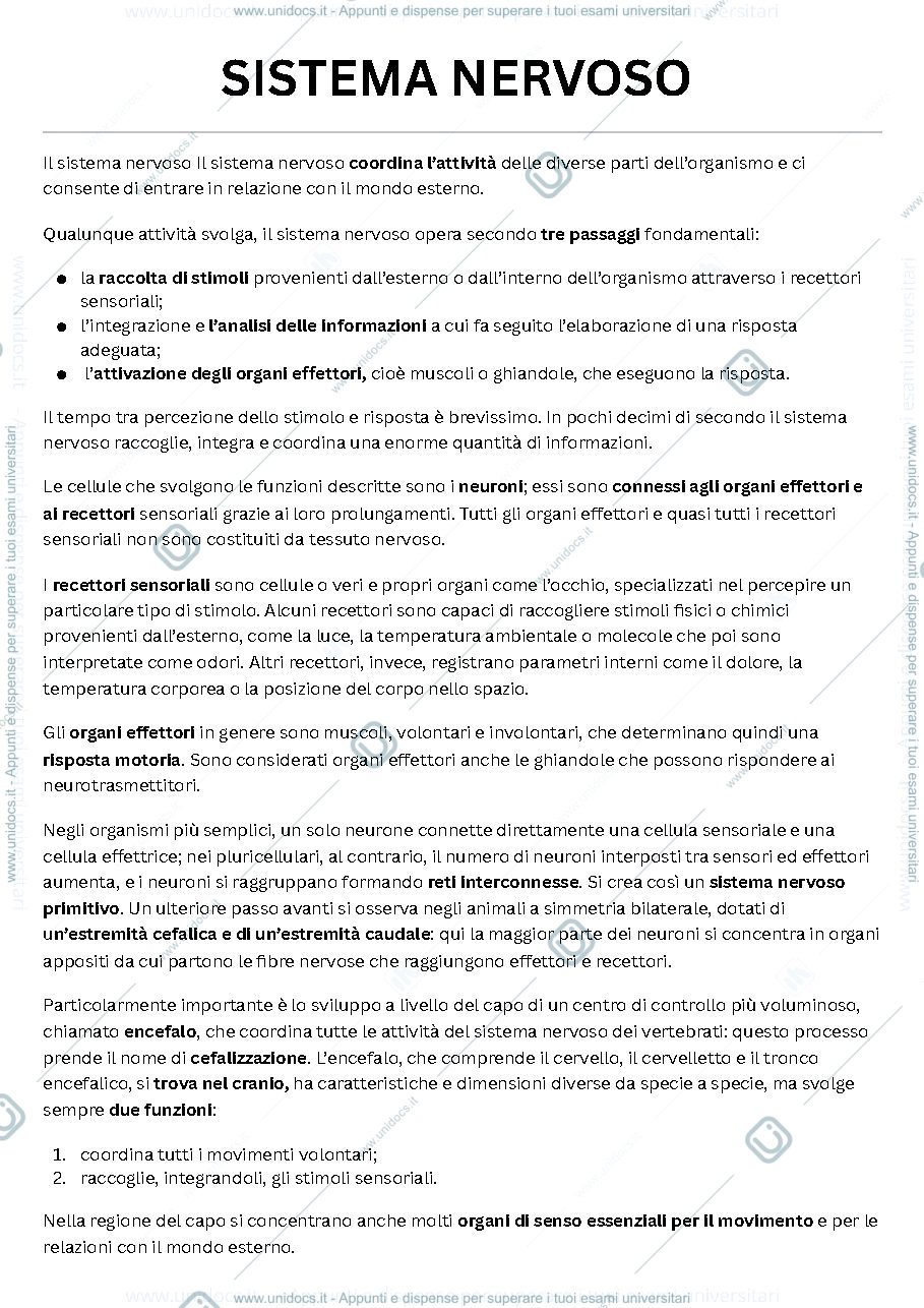 Anteprima pagina 1 — Sistema nervoso introduzione