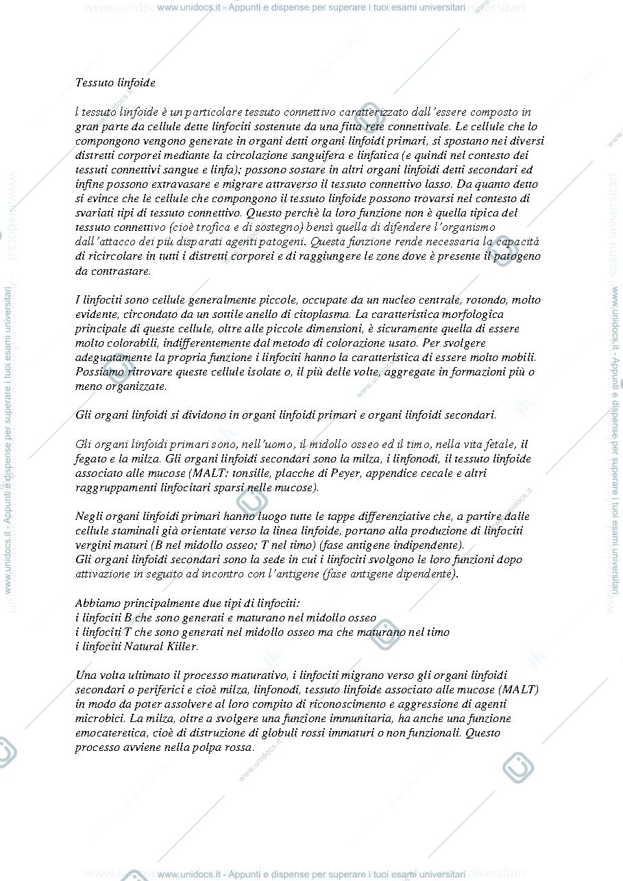 Anteprima pagina 1 — Il tessuto linfoide