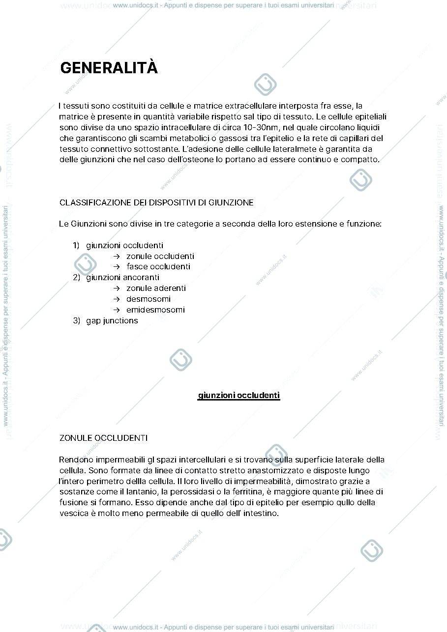 Anteprima pagina 1 — Giunzioni cellulari