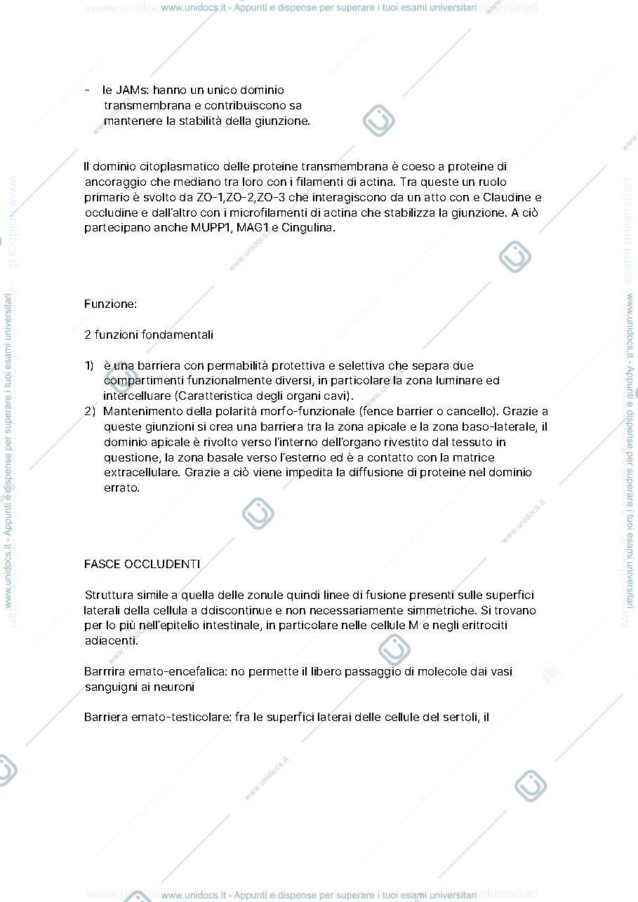 Anteprima pagina 3 — Giunzioni cellulari