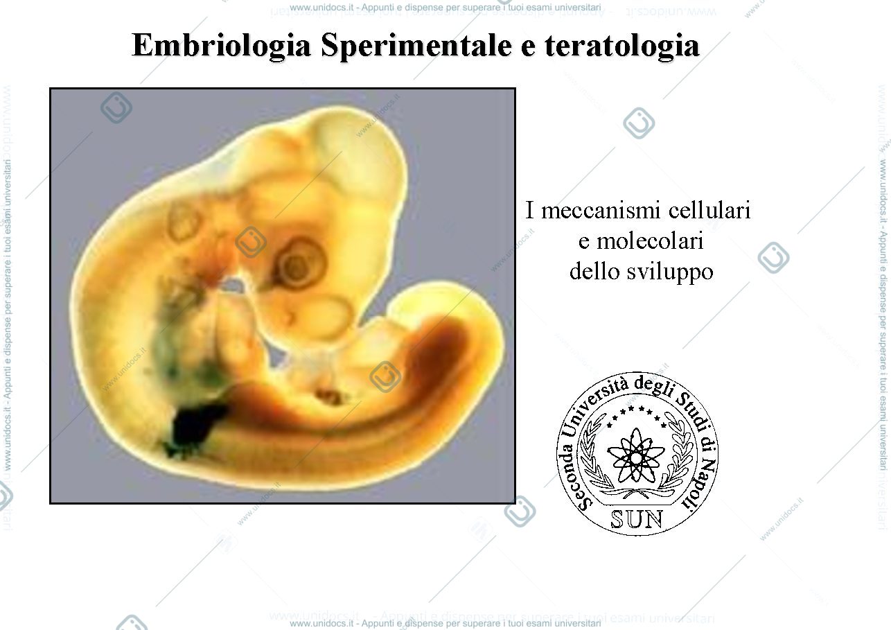 Anteprima pagina 1 — embriologia sperimentale e teratologia