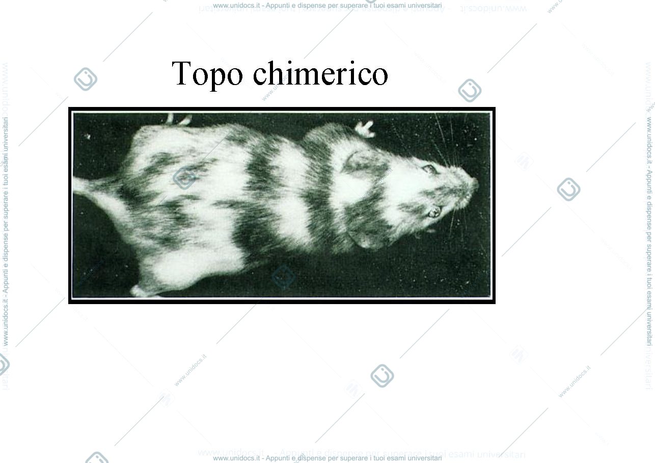Anteprima pagina 5 — embriologia sperimentale e teratologia