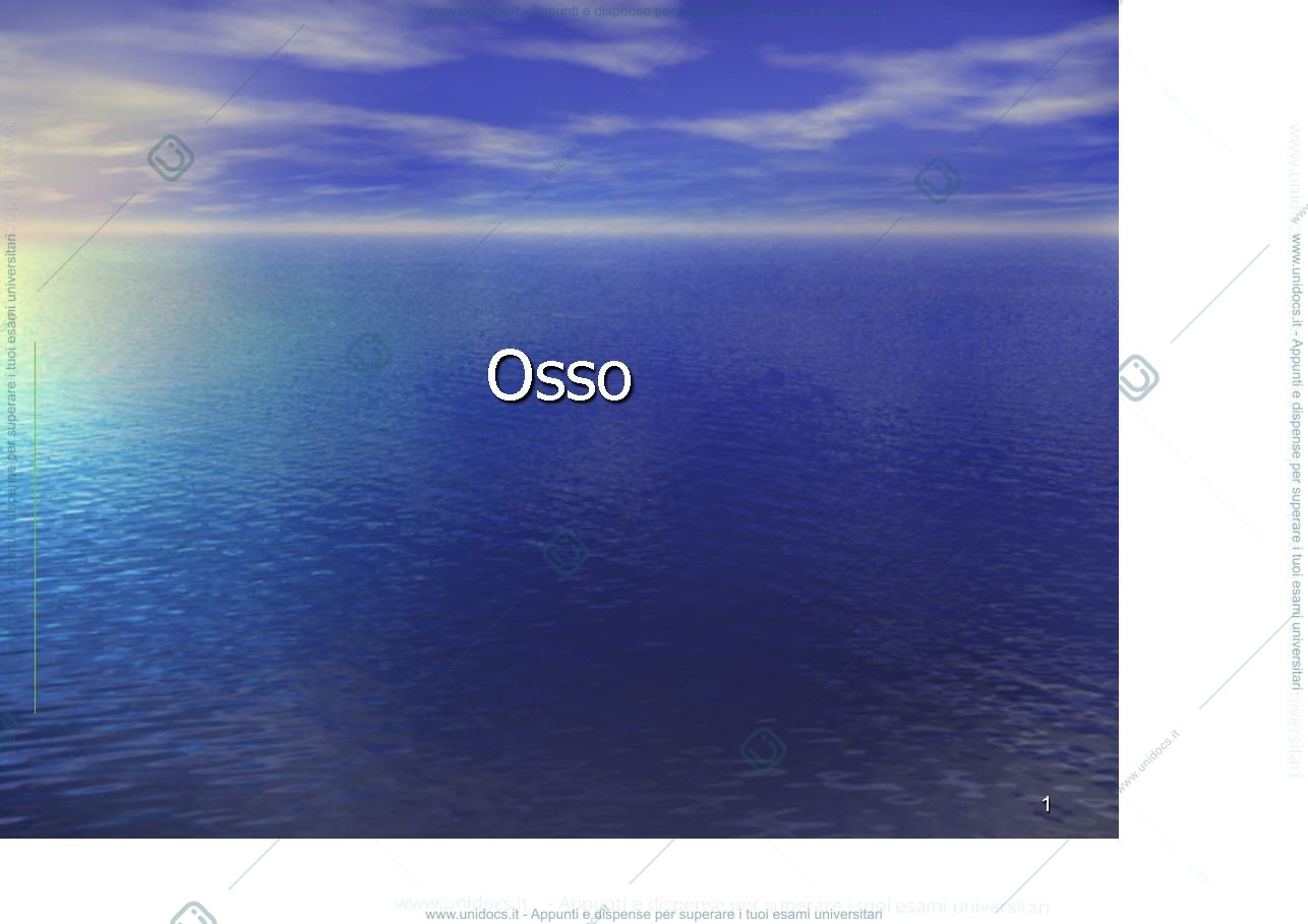 Anteprima pagina 1 — osso