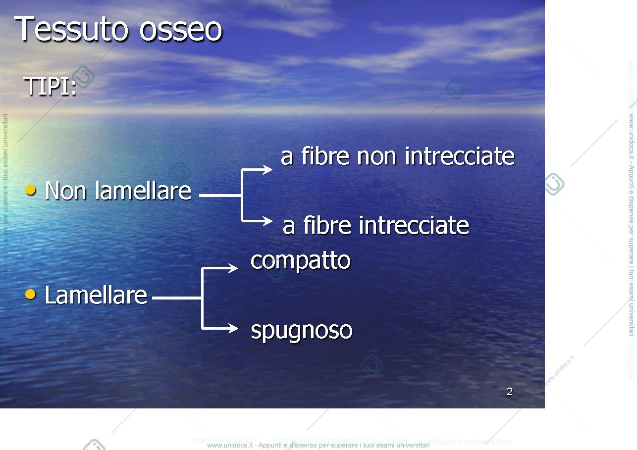 Anteprima pagina 2 — osso