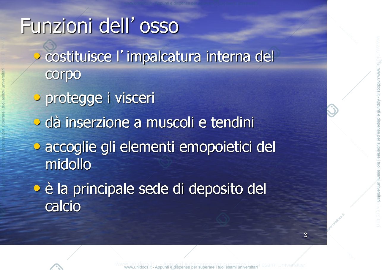 Anteprima pagina 3 — osso