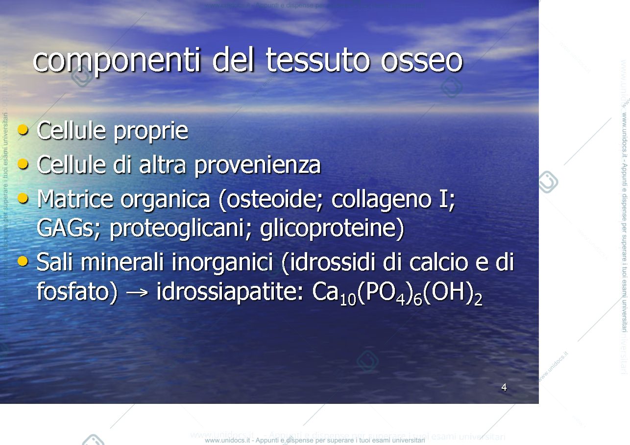 Anteprima pagina 4 — osso