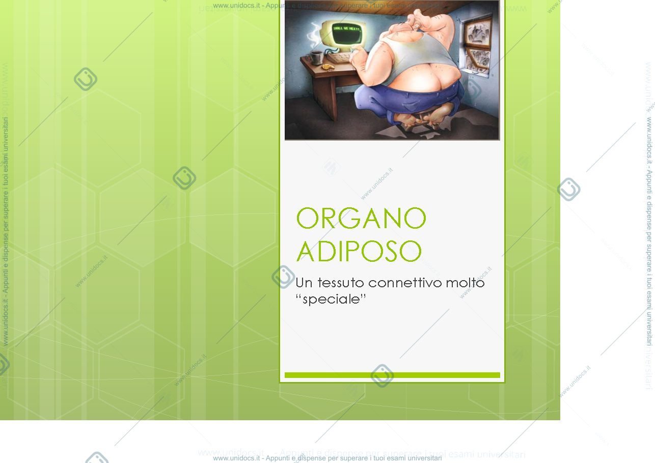 Anteprima pagina 1 —  Organo Adiposo