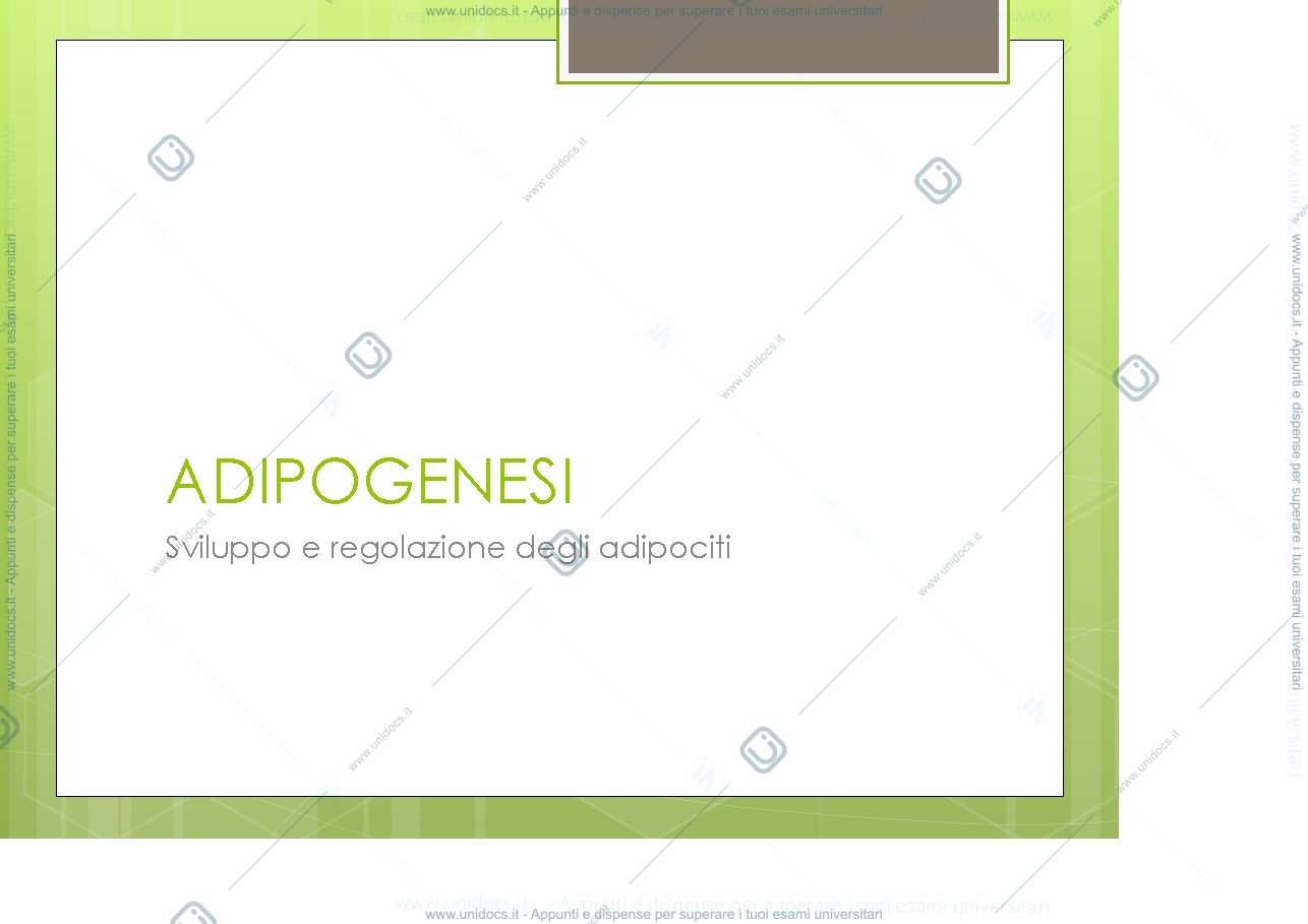 Anteprima pagina 3 —  Organo Adiposo