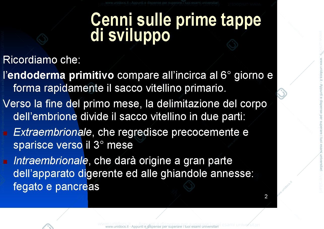 Anteprima pagina 2 — Gut development