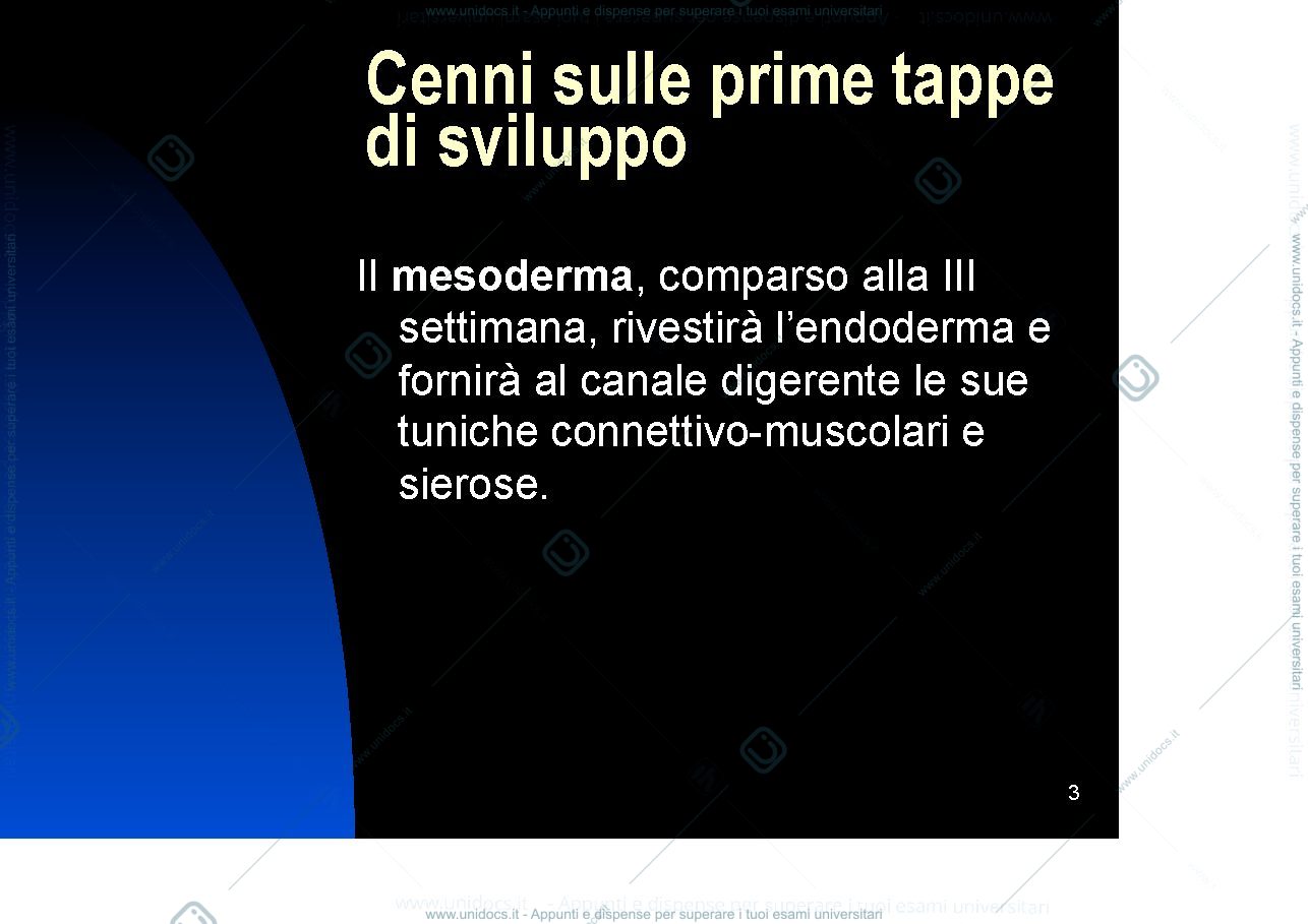 Anteprima pagina 3 — Gut development