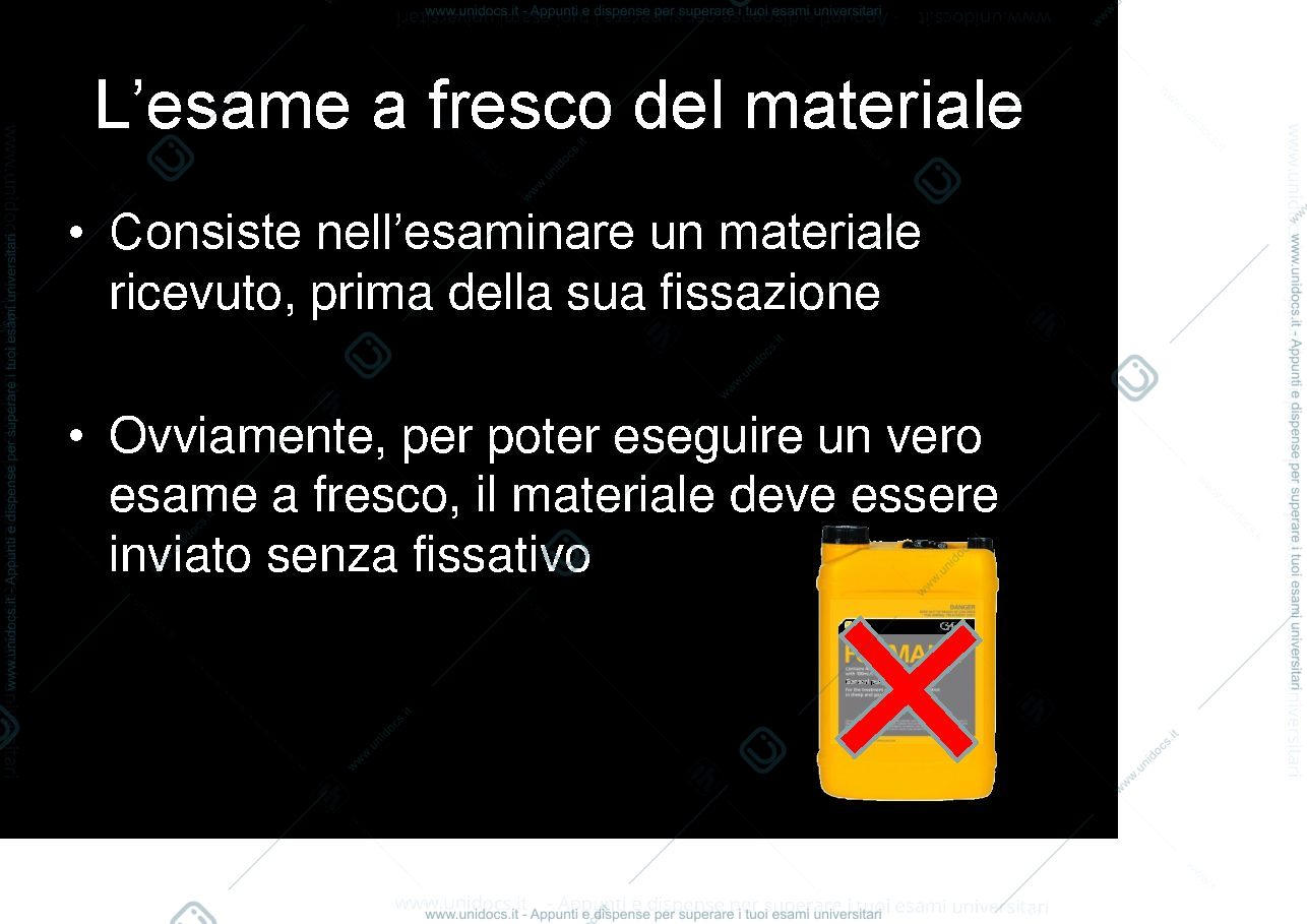 Anteprima pagina 2 — esame a fresco