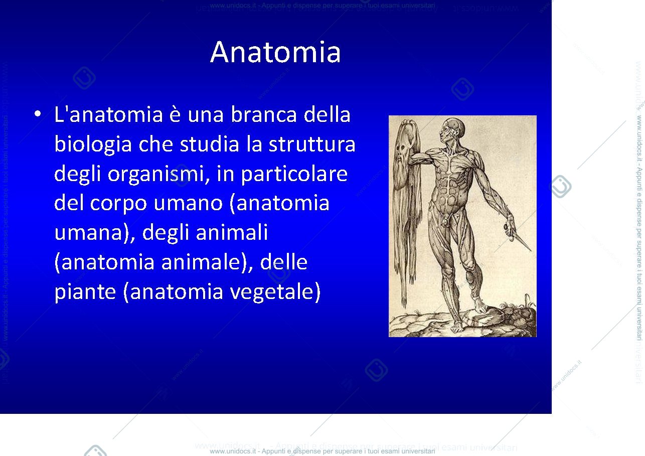 Anteprima pagina 2 — introduzione tecniche di anatomia