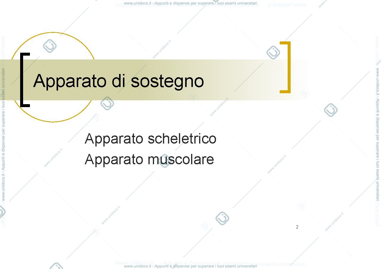 Anteprima pagina 2 — musculoskelet development
