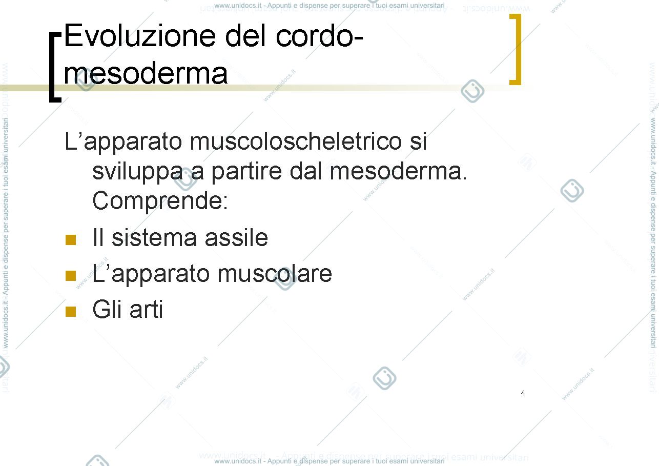 Anteprima pagina 4 — musculoskelet development