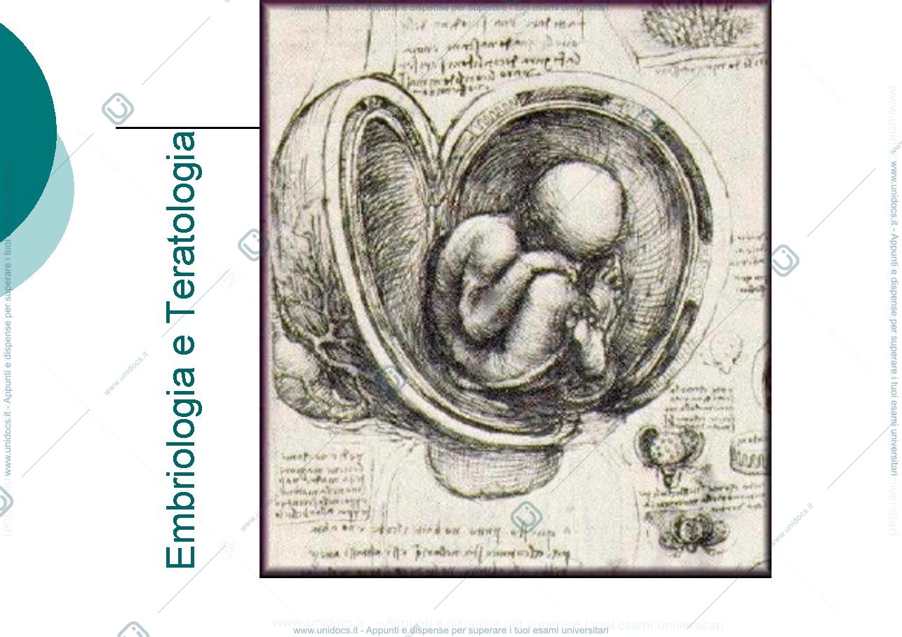 Anteprima pagina 1 — teratogenesi