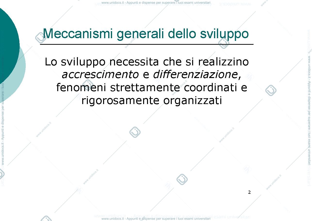 Anteprima pagina 2 — teratogenesi