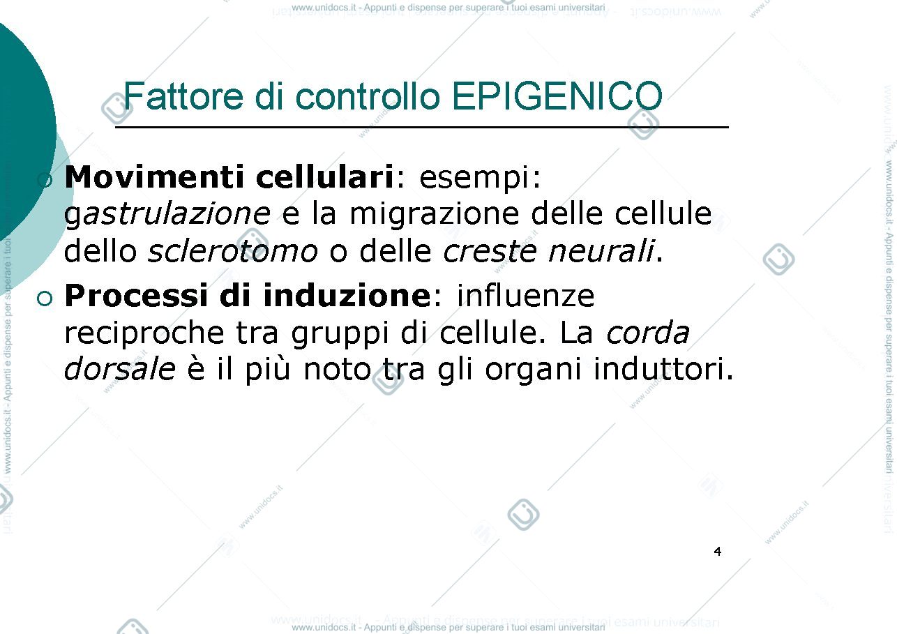 Anteprima pagina 4 — teratogenesi