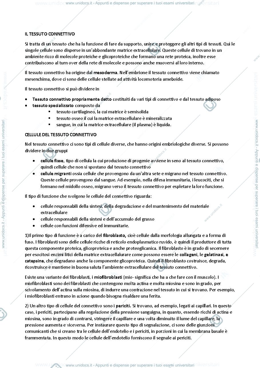 Anteprima pagina 1 — TESSUTO CONNETTIVO