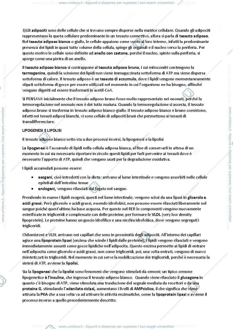 Anteprima pagina 2 — TESSUTO CONNETTIVO
