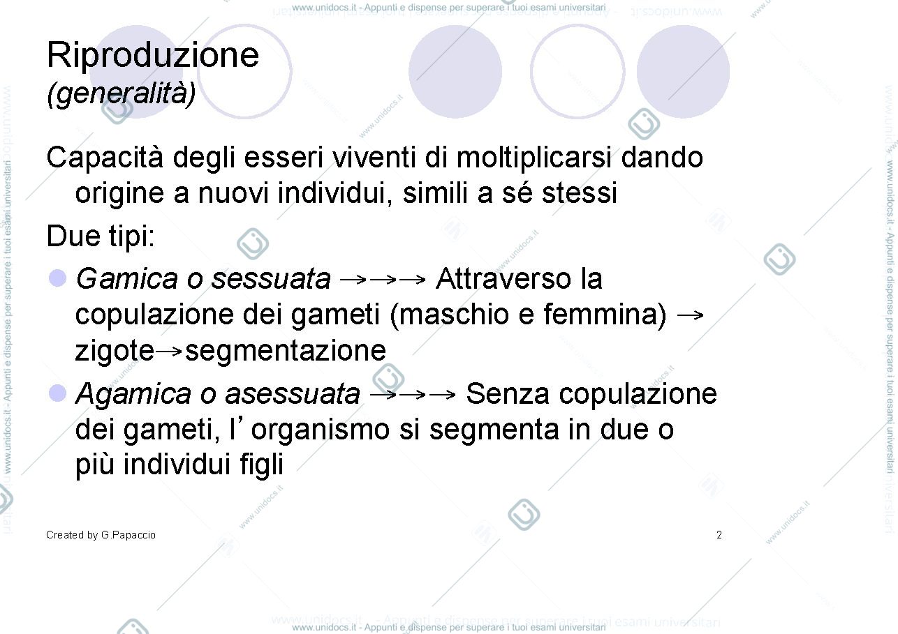 Anteprima pagina 2 — Riproduzione