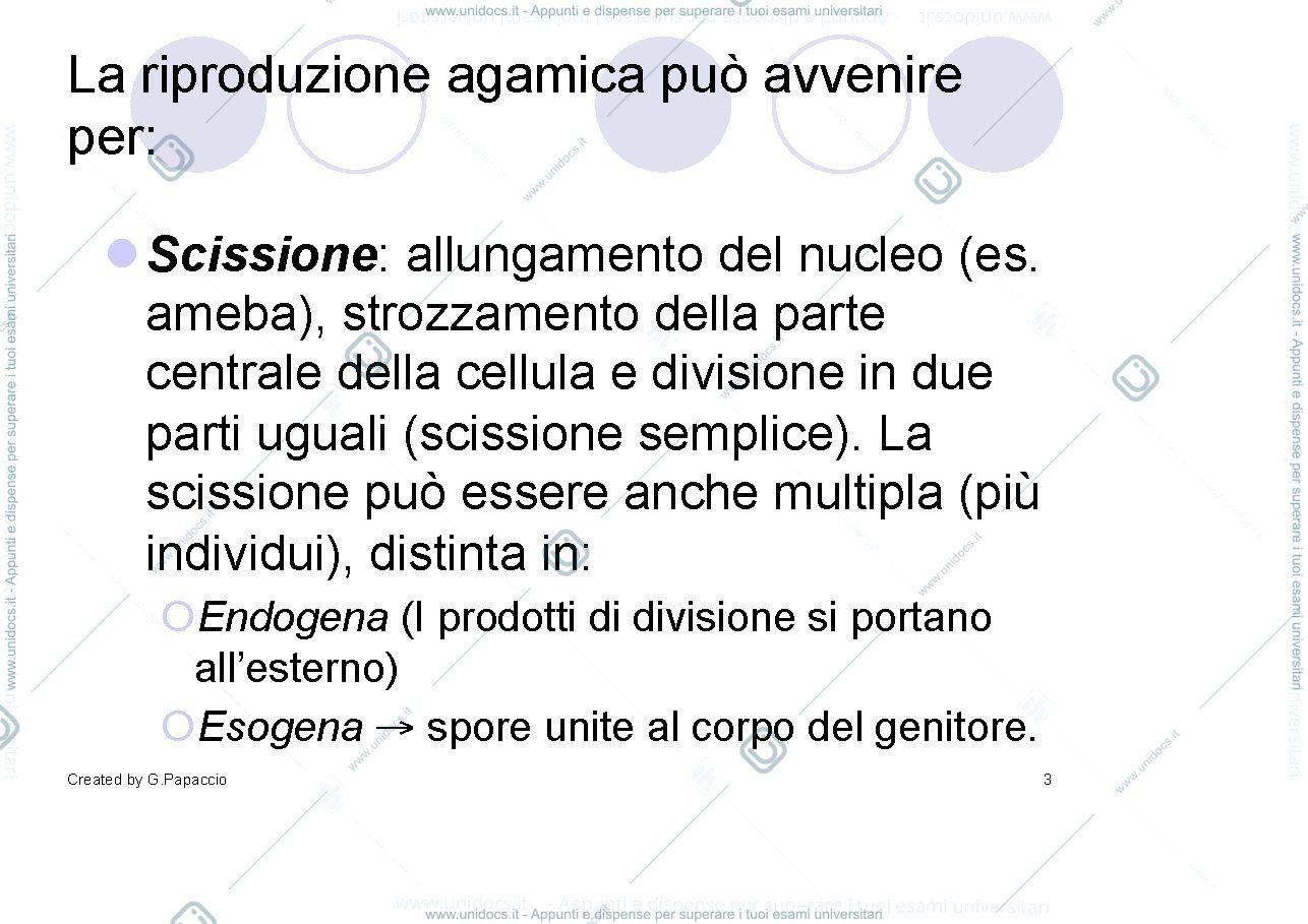 Anteprima pagina 3 — Riproduzione