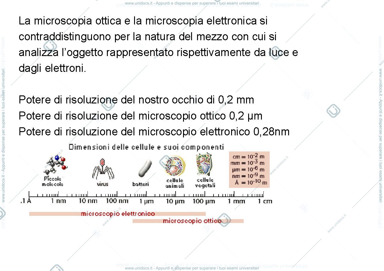 Anteprima pagina 3 — Microscopia ottica ed elettronica