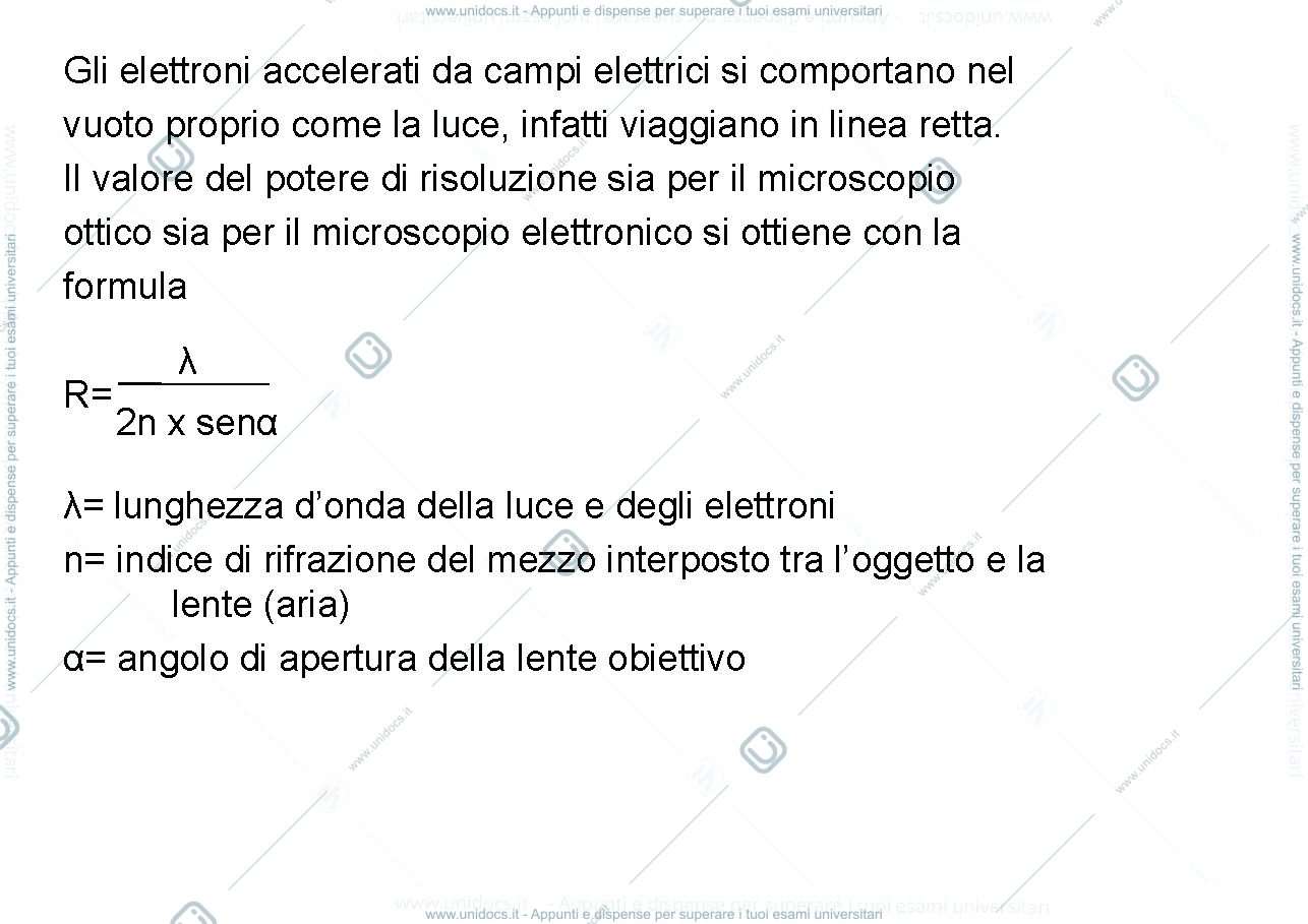 Anteprima pagina 4 — Microscopia ottica ed elettronica