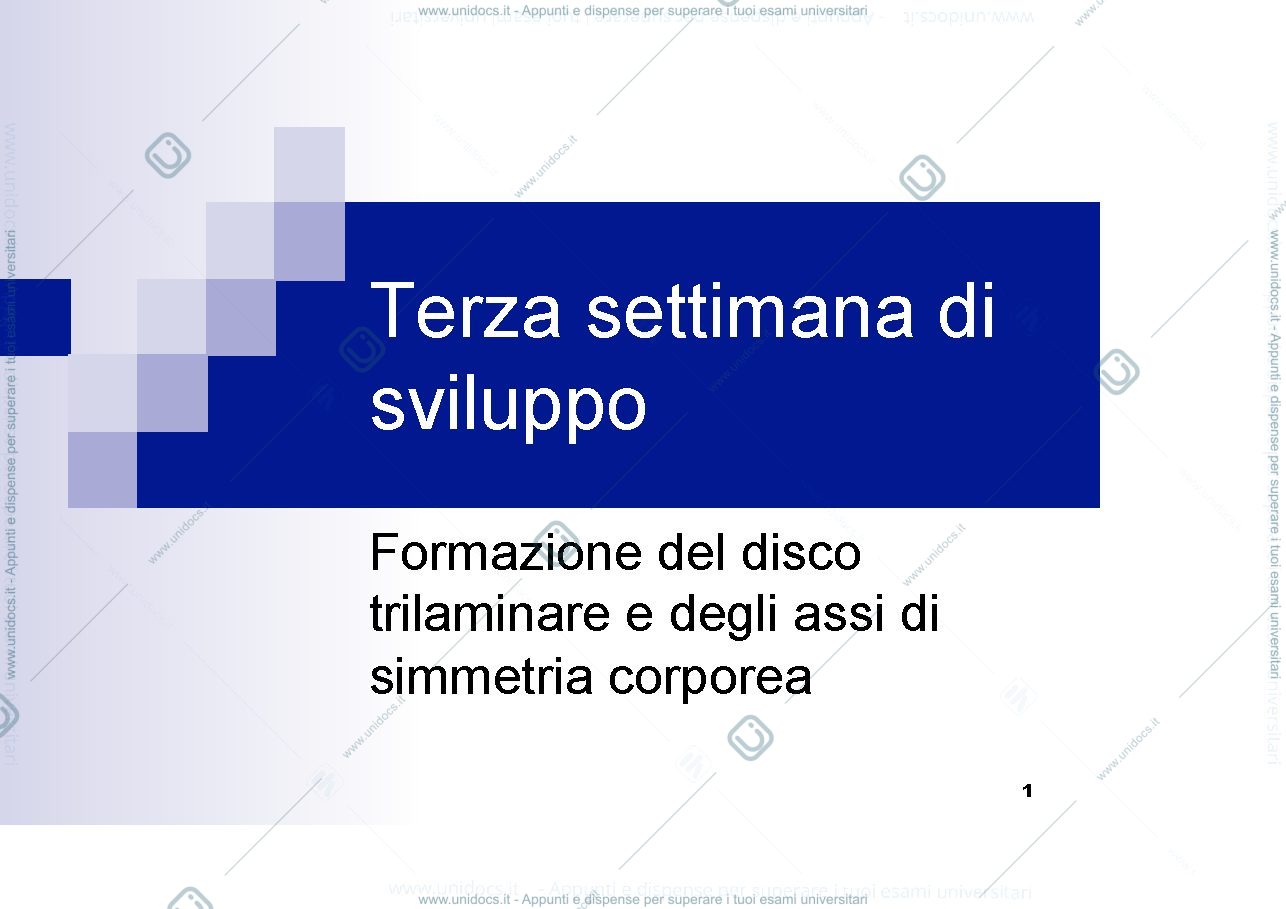 Anteprima pagina 1 — Terza settimana (gastr.neurul)