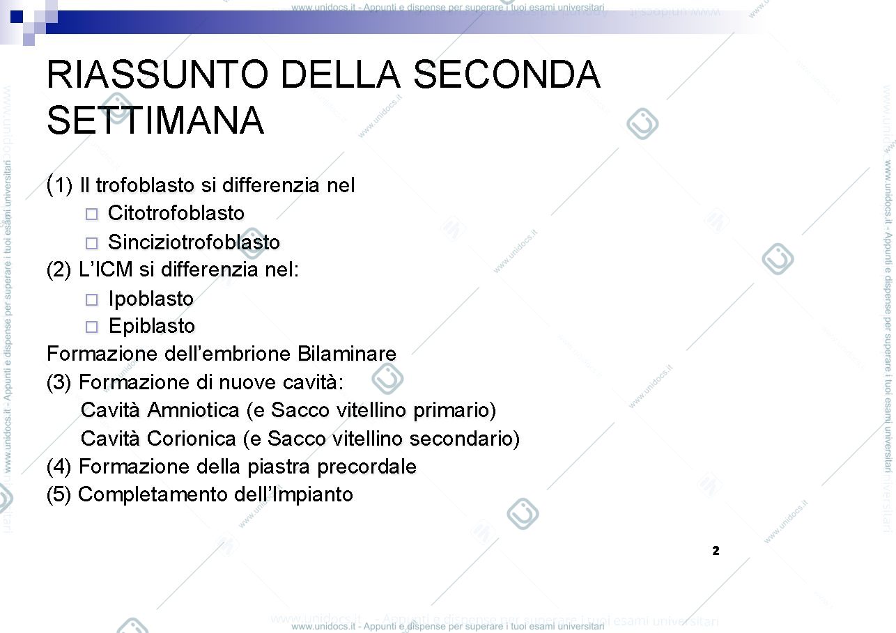 Anteprima pagina 2 — Terza settimana (gastr.neurul)