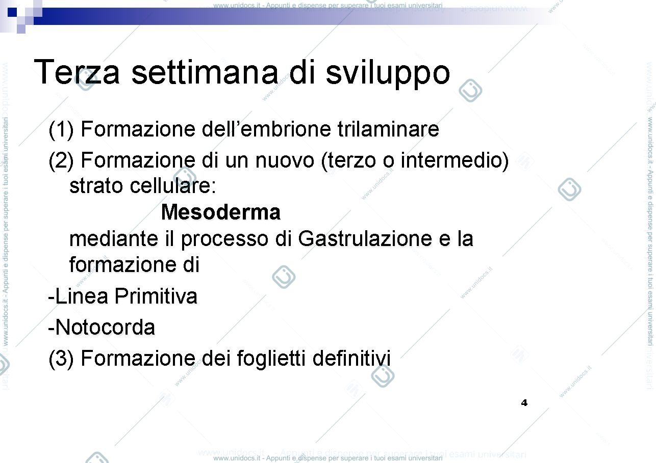 Anteprima pagina 4 — Terza settimana (gastr.neurul)
