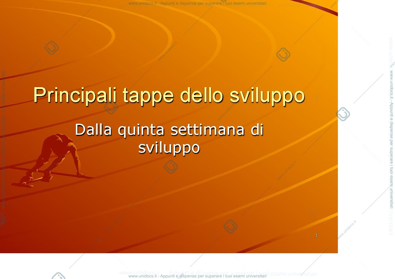 Anteprima pagina 1 — Periodi embrionale e fetale